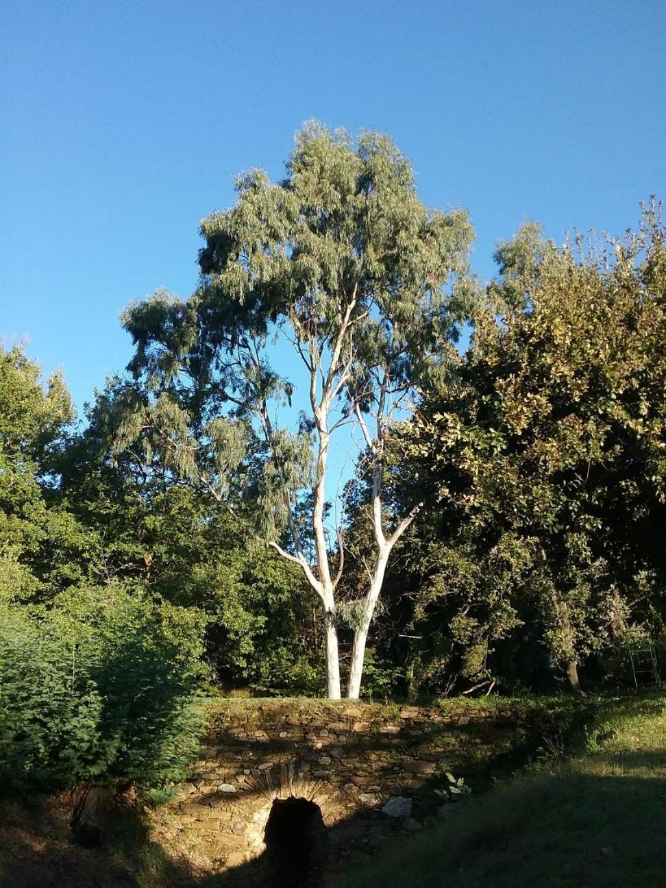 Villa Fontane Provence La Garde-Freinet Ruang foto